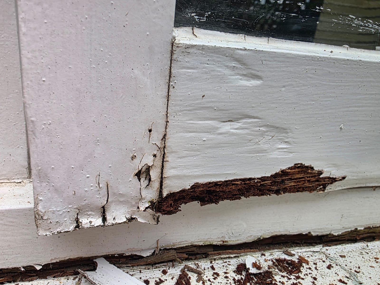 Rotten sill timber exposed before repair