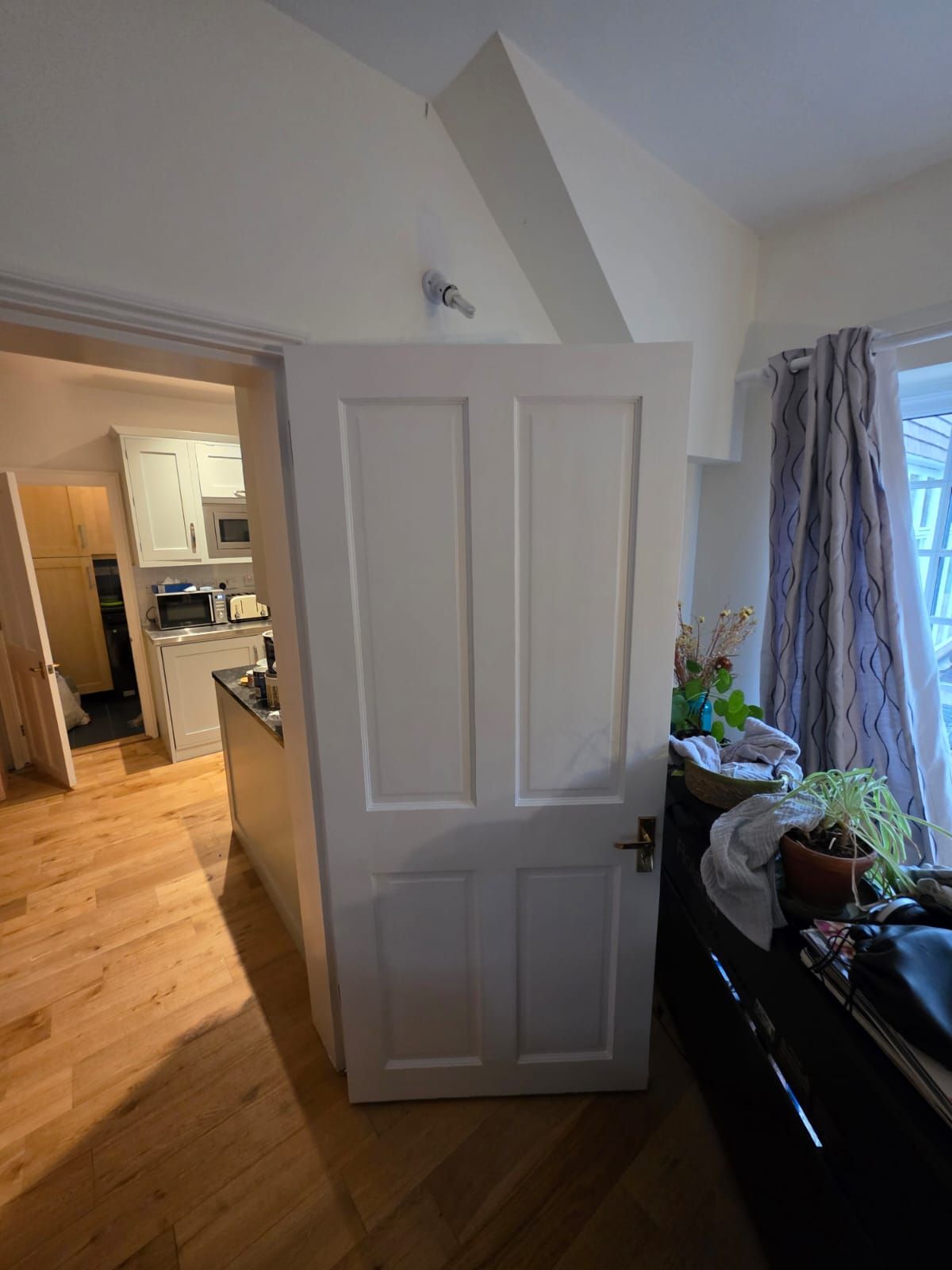Hallway door and frame after painting