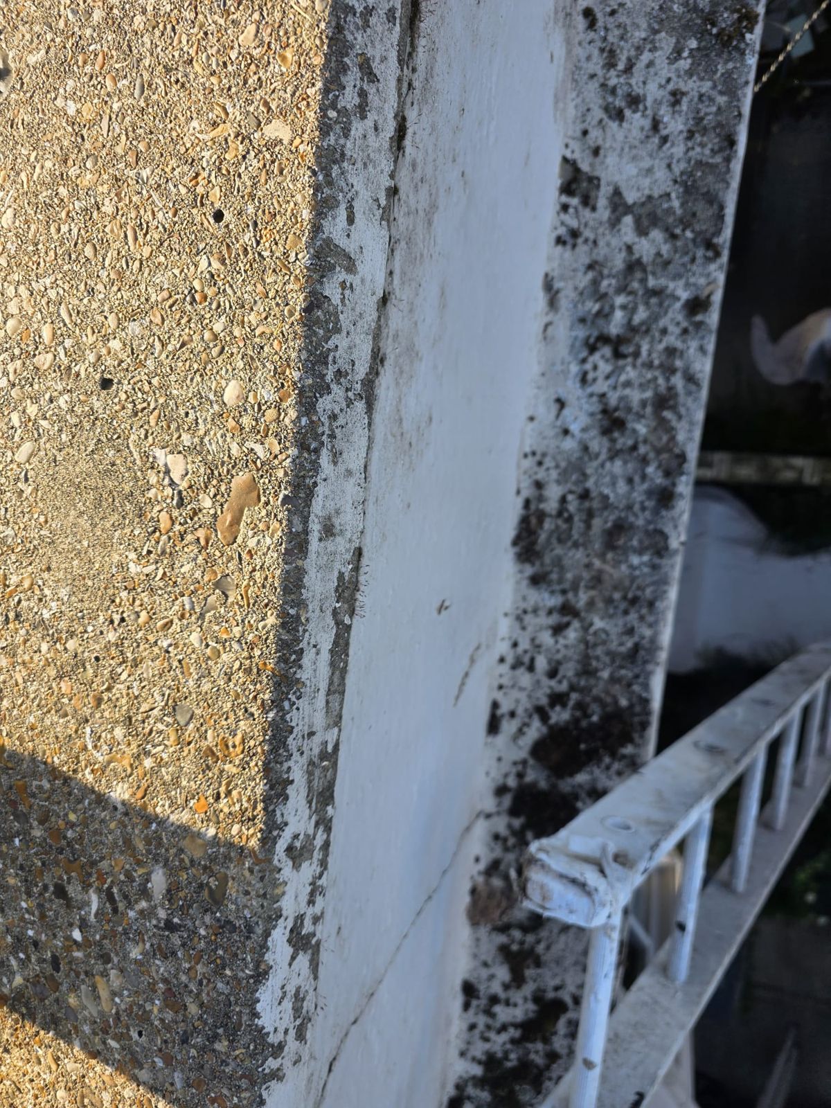 Bay coping before cleaning