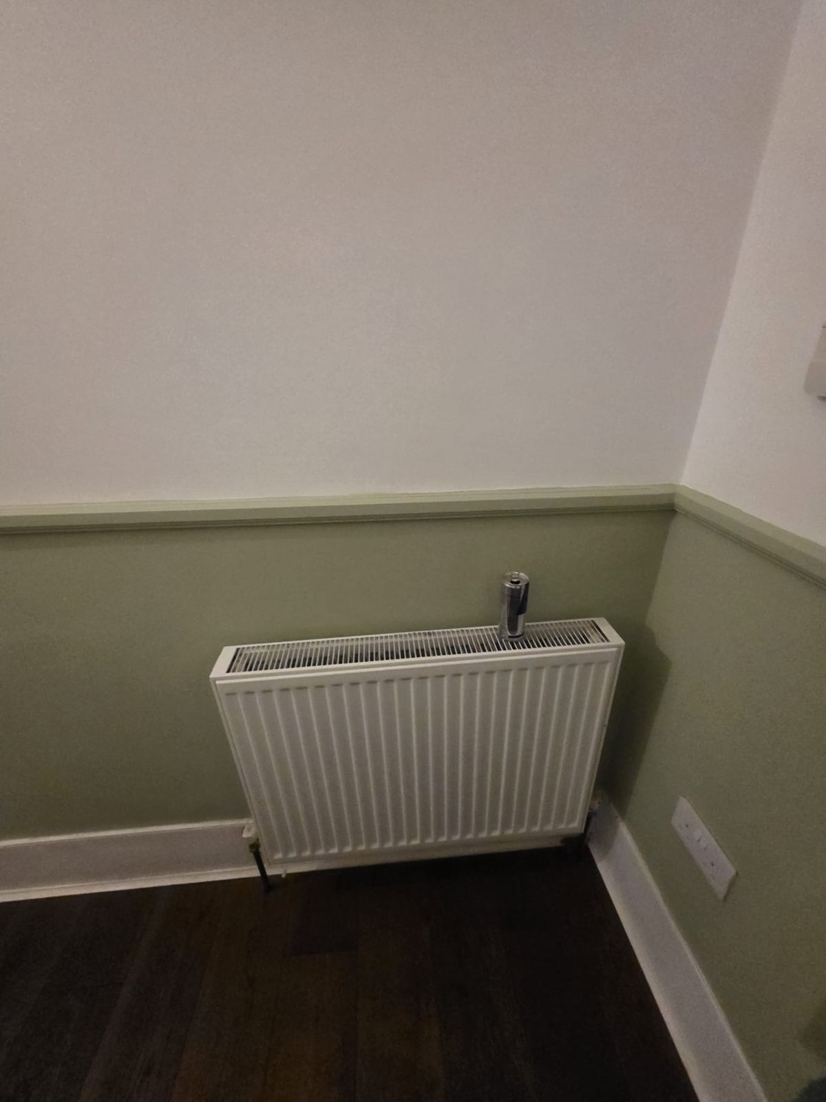 Hallway wall in sage green below the dado rail